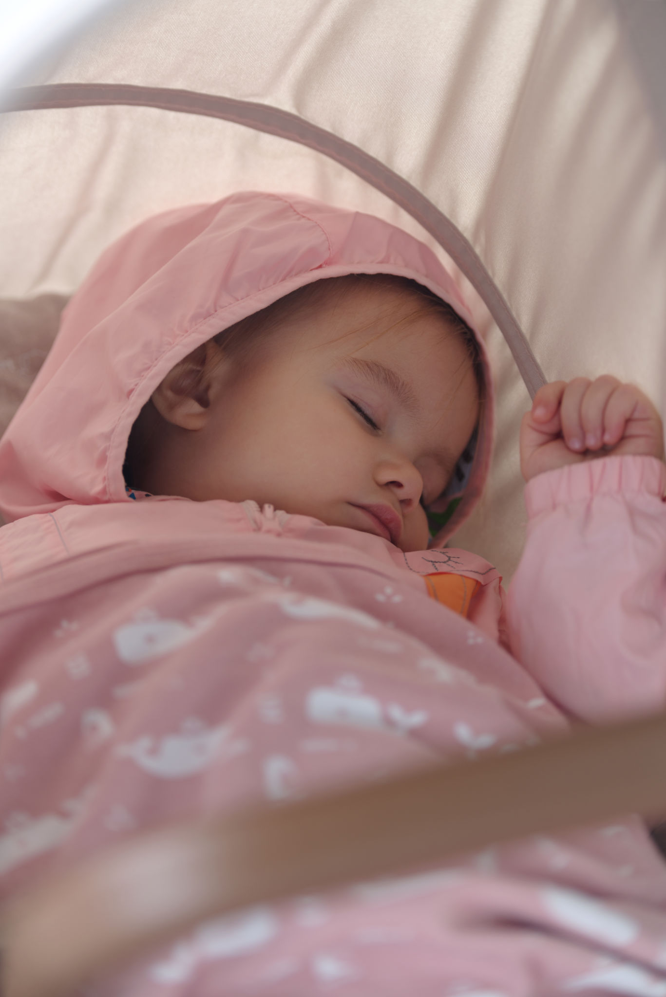 Capa do Protocolo do Sono Tranquilo™